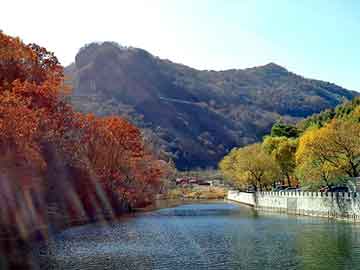 澳门天天免费精准大全，平陆野猪